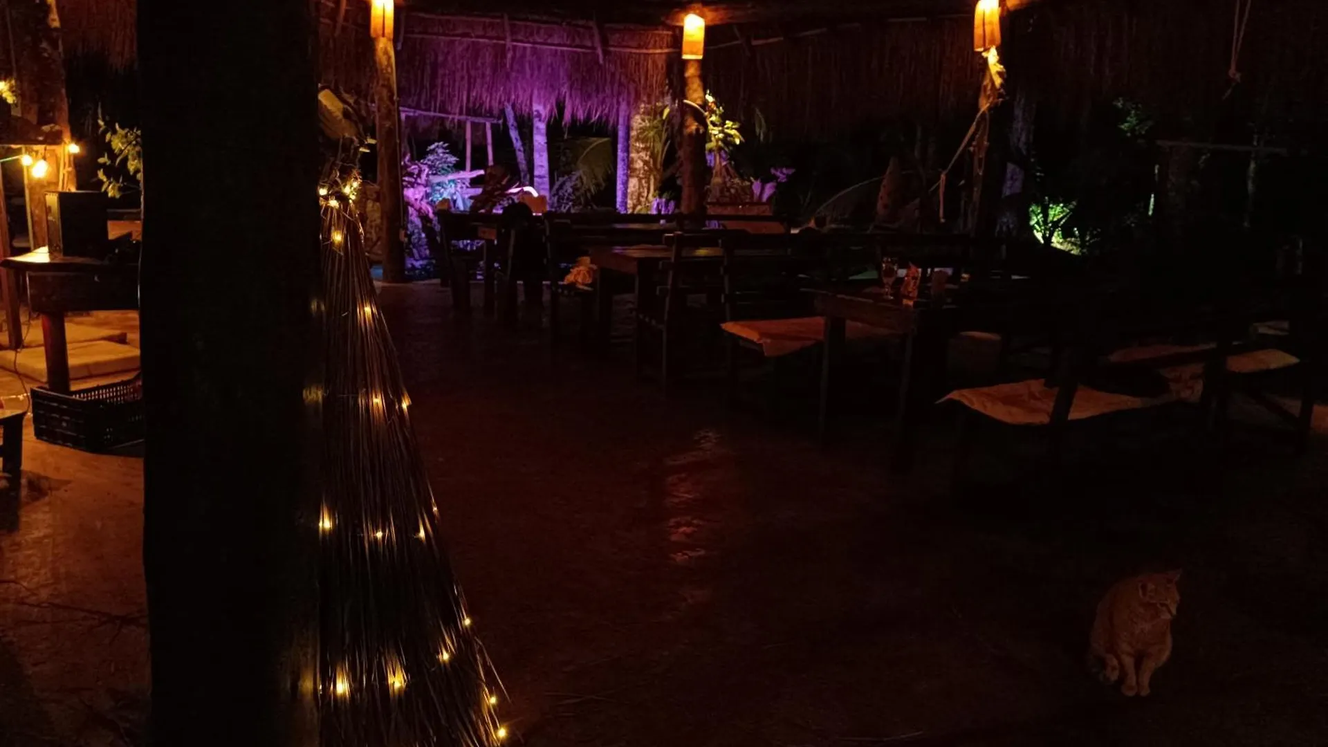 Cabana Zapote En Rancho Los Jaguares Jungle Retreat Tulum Kamp alanı